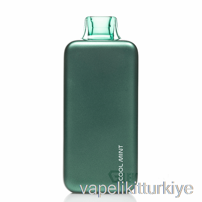 Vape Türkiye Plena 18k Tek Kullanımlık Serin Nane